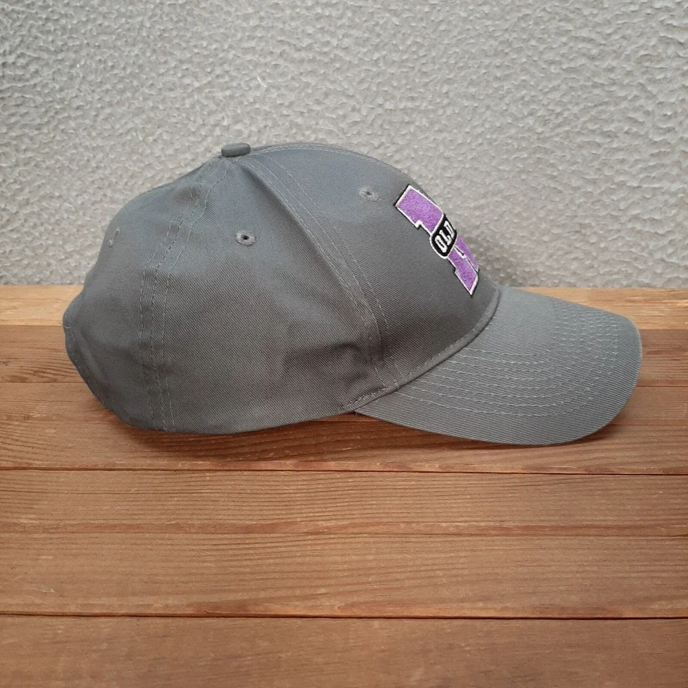 Memorial Old Abes‎ Hat Adult Gray Strap Back Dad Cap Eau Clarie Wisconsin Sports